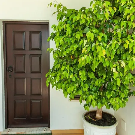 G - Ceu Guest house